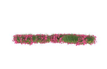 Field of flowers on transparent background. 3d rendering - illustration