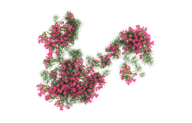 Field of flowers on transparent background. 3d rendering - illustration