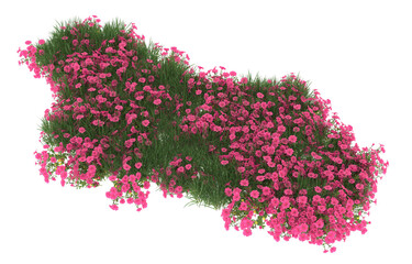 Field of flowers on transparent background. 3d rendering - illustration