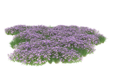 Field of flowers on transparent background. 3d rendering - illustration