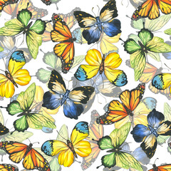 Obraz na płótnie Canvas Butterflies. pattern. watercolor illustration of colorful insects. background for cards and invitations.
