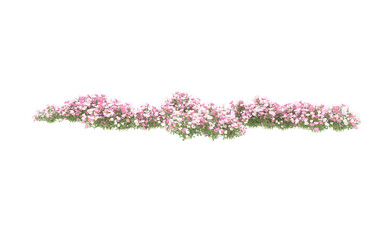 Obraz na płótnie Canvas Field of flowers on transparent background. 3d rendering - illustration