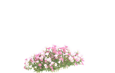 Field of flowers on transparent background. 3d rendering - illustration