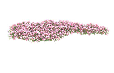 Field of flowers on transparent background. 3d rendering - illustration