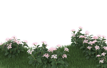Field of flowers on transparent background. 3d rendering - illustration