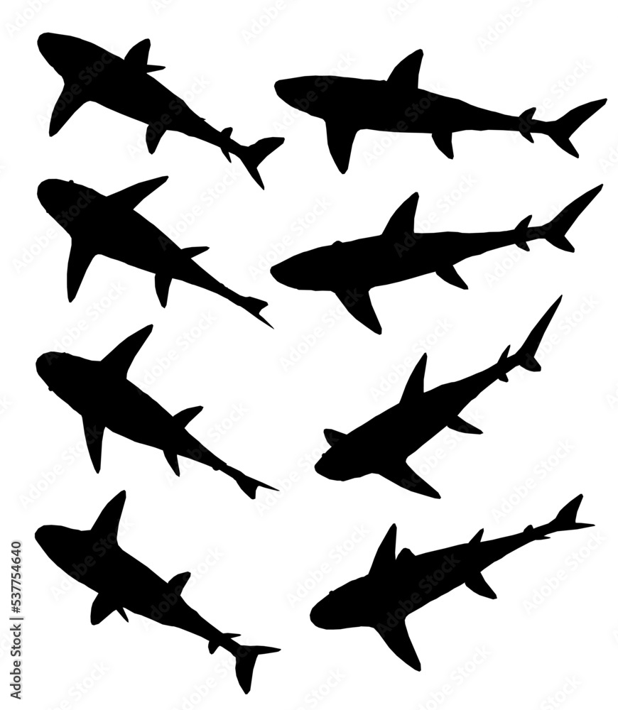 Poster set with shark silhouette in different positions isolated on white background. isometric view. vecto