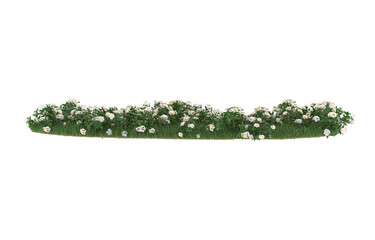 Field of flowers on transparent background. 3d rendering - illustration