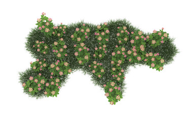 Grass and flowers on transparent background. 3d rendering - illustration