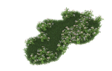 Grass and flowers on transparent background. 3d rendering - illustration