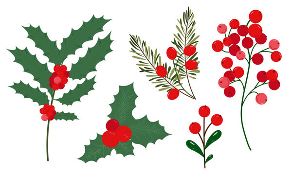 Christmas berries deals