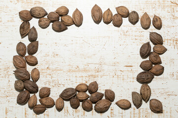 収穫したオニグルミ