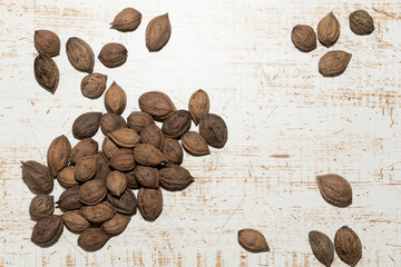 収穫したオニグルミ