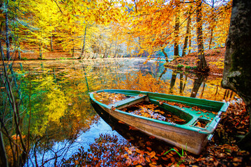 A boat in the small lake in autumn, Fallen leaves.