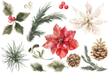 Fotobehang Tropische Bladeren Festive Watercolor Christmas New Year Evergreen Tree Winter Holiday Element Set   © Alecs