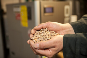 Wood pellets in the background. Biofuels. Cat litter. Man's hands.