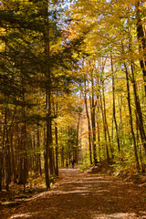 Beautiful  fall colors in the Canadian countryside at fall in the province of Quebec