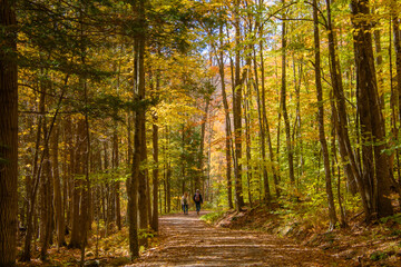 Beautiful  fall colors in the Canadian countryside at fall in the province of Quebec