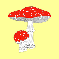 Vector illustration. Brown toadstool. Poisonous mushroom. Edible mushroom. Cartoon sticker in comic style with contour. Decoration for greeting cards, posters, patches, prints for clothes, emblems