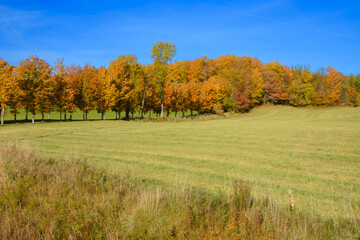 Beautiful  fall colors in the Canadian countryside at fall in the province of Quebec