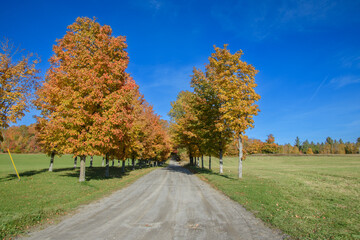 Obraz premium Beautiful fall colors in the Canadian countryside at fall in the province of Quebec
