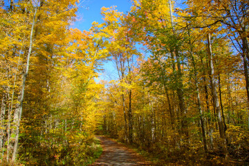 Beautiful  fall colors in the Canadian countryside at fall in the province of Quebec
