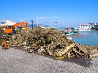 港の災害ゴミの山