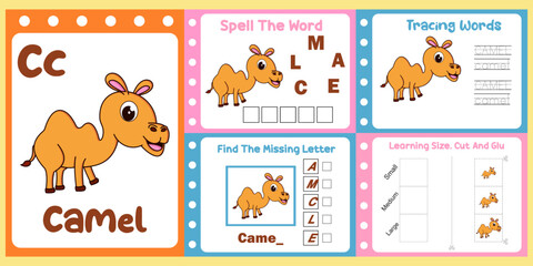 worksheets pack for kids with camel vector. children's study book