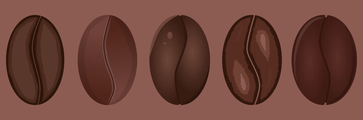 Set of coffee beans. Coffee house. Vector