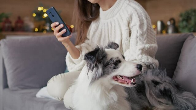 Woman chilling with dog on sofa with mobile phone during the Christmas. Shot with RED helium camera in 8K. 