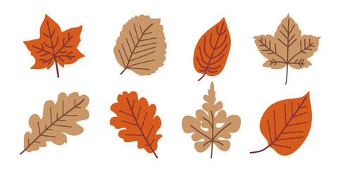 set of brown leaves icons on a white background. spring. Herbs, plants, leaves.