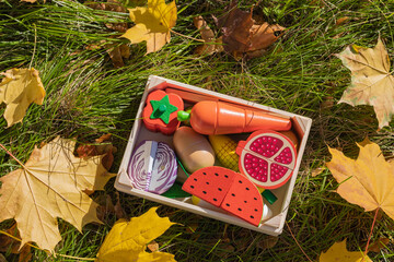 Kids toy wooden vegetables on the green grass close up. Childrens set of wooden vegetables in box