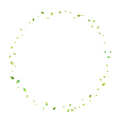 Fototapeta premium Leaves Green Falling Flying Foliage Leaf Tea Mint