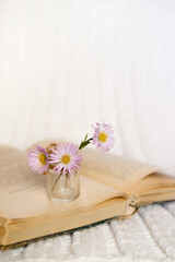 Close-up of a bouquet of small magenta flowers in a blurred glass vase on an open book on a white knitted background. Slow life concept. Warm, warming background.