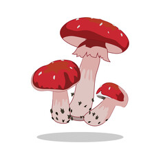 Art illustration Symbol logo botany design concept icon vegetables of mushroom