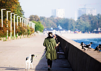 Kobieta na spacerze z psem bulwarem nadmorskim - obrazy, fototapety, plakaty