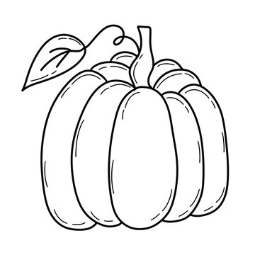 black and white illustration of a pumpkin