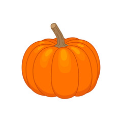 Pumpkin.Color vector illustration in cartoon flat style. PNG with transparent background.