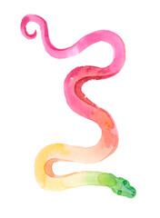 Multicolored snake raster isolated on white background. Hand drawn by watercolor reptile isolated on white background