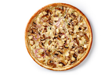 Pizza with cream cheese sauce, chicken fillet, mushrooms and purple onions isolated on white