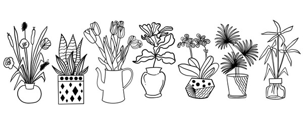 Set of line home plants in pots