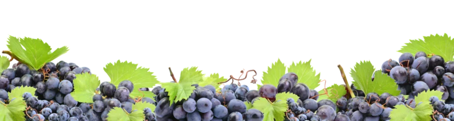 Tuinposter Grape fruit © valeriy555