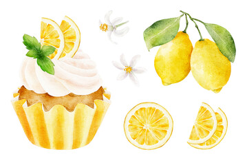 Set of lemons and cupcake with lemon and mint isolated on white background. - obrazy, fototapety, plakaty