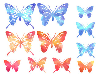 Plakat 水彩の蝶