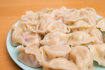 Homemade meat dumpling on plate