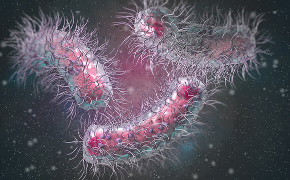 Medical Background, Enterobacterales Bacterium Including Pathogens Salmonella, E. Coli, Plague Bacillus, Proteobacteria, Gram Negative, 3d Rendering