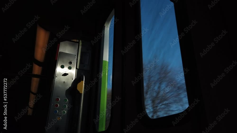 Poster passenger point of view looking out of a fast moving train at the trees going by