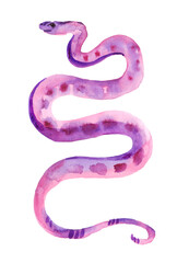 Watercolor hand drawn illsutration of scary purple snake. Witch witchcraft concept, mystic magic occult fall clipart, poisonous serpent.