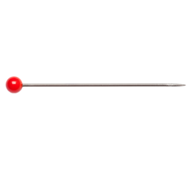 Single isolated Needle Pin with red head 