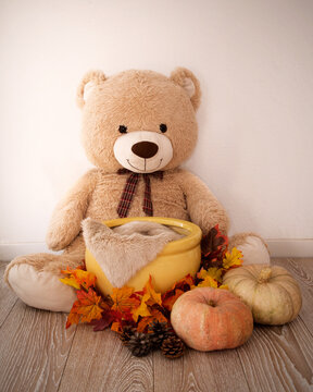 Backdrop newborn, fondo digital para fotografia de recien nacido, oso peluche con maceta decorada con hojas de otoño y calabazas, halloween, tonos claros, maceta para bebe