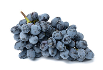 Ripe blue grapes on a white isolated background, wine grapes